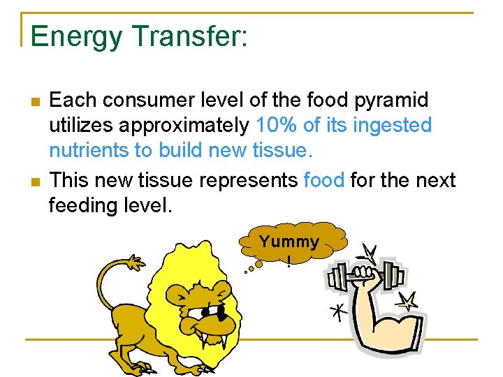 Energy Transfer: n n Each consumer level of the food pyramid utilizes approximately 10%