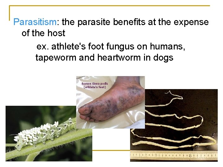 Parasitism: the parasite benefits at the expense of the host ex. athlete's foot fungus