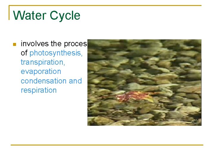 Water Cycle n involves the processes of photosynthesis, transpiration, evaporation condensation and respiration 