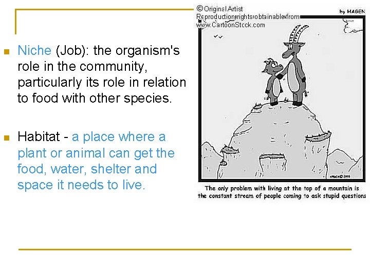 n Niche (Job): the organism's role in the community, particularly its role in relation