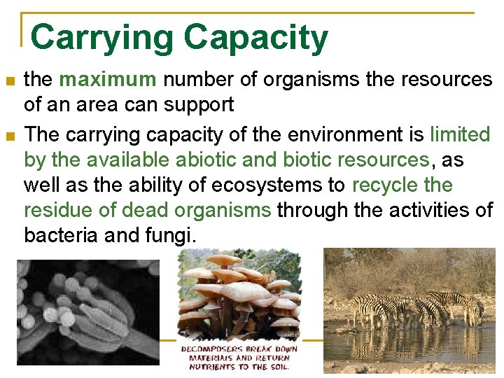 Carrying Capacity n n the maximum number of organisms the resources of an area