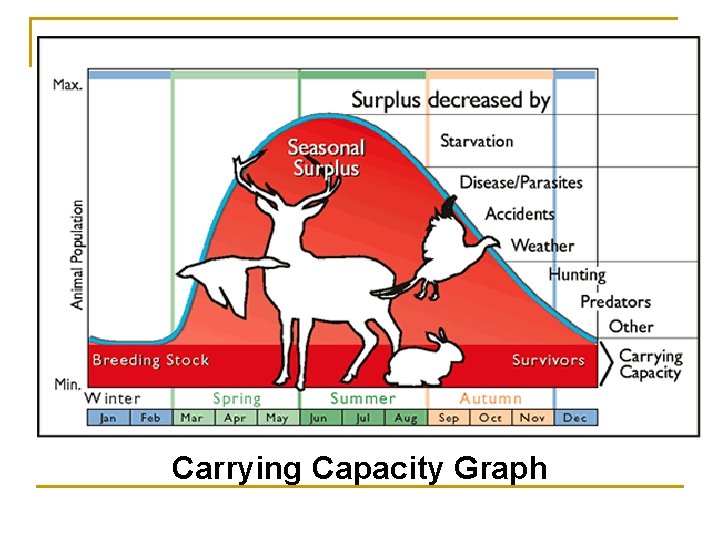 Carrying Capacity Graph 