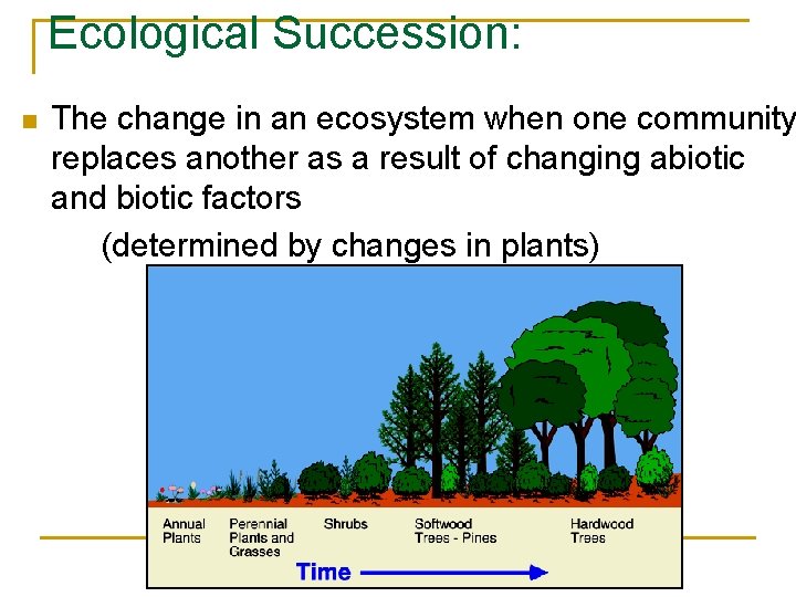 Ecological Succession: n The change in an ecosystem when one community replaces another as