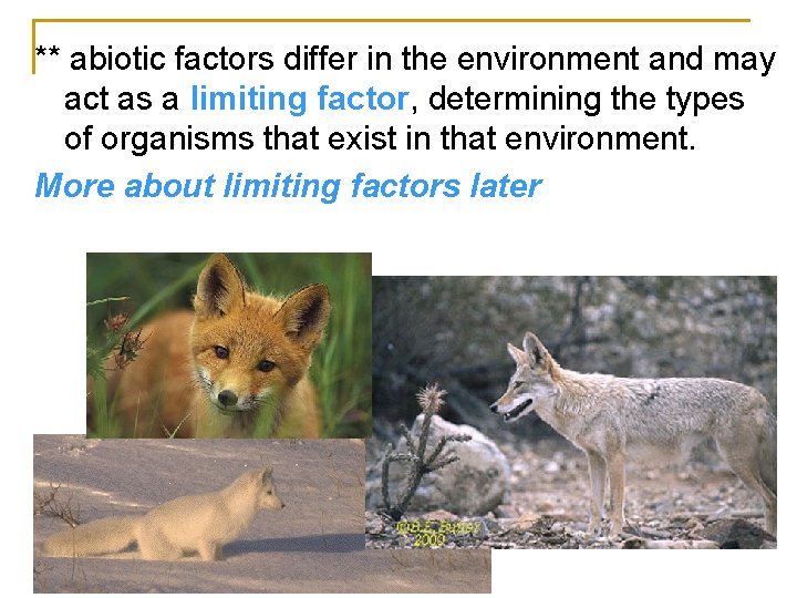 ** abiotic factors differ in the environment and may act as a limiting factor,