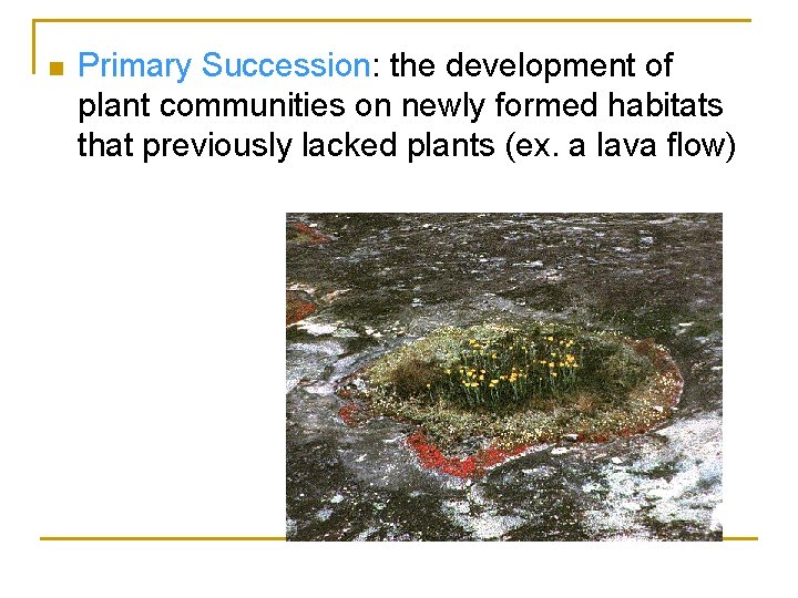 n Primary Succession: the development of plant communities on newly formed habitats that previously