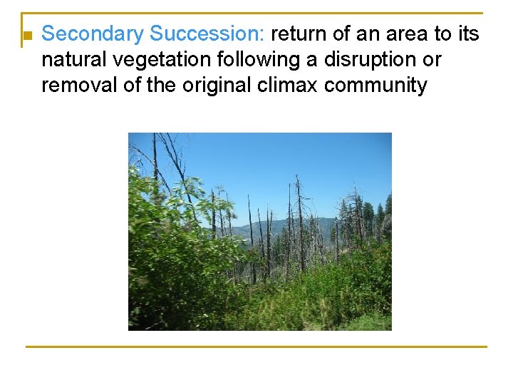 n Secondary Succession: return of an area to its natural vegetation following a disruption