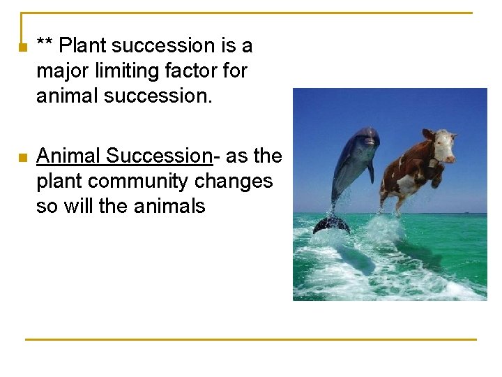 n ** Plant succession is a major limiting factor for animal succession. n Animal
