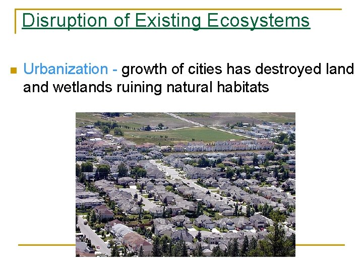 Disruption of Existing Ecosystems n Urbanization - growth of cities has destroyed land wetlands