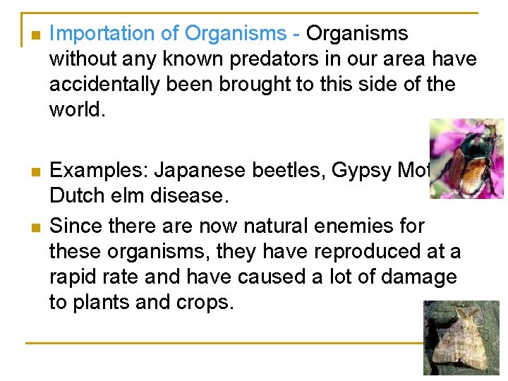 n Importation of Organisms - Organisms without any known predators in our area have