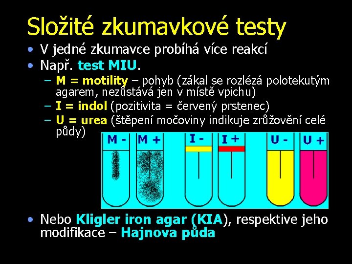 Složité zkumavkové testy • V jedné zkumavce probíhá více reakcí • Např. test MIU.