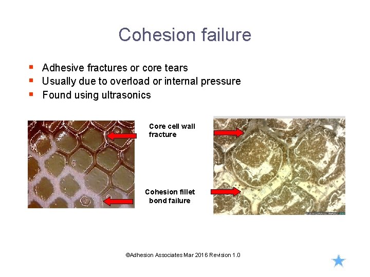 Cohesion failure § § § Adhesive fractures or core tears Usually due to overload