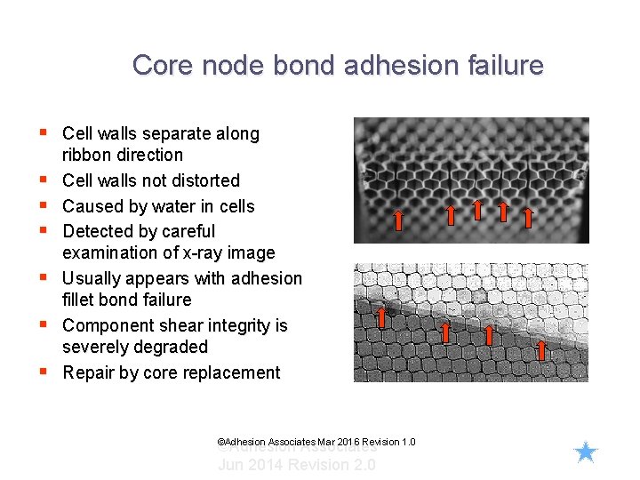 Core node bond adhesion failure § Cell walls separate along § § § ribbon