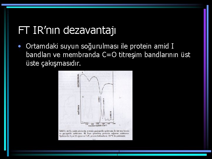 FT IR’nın dezavantajı • Ortamdaki suyun soğurulması ile protein amid I bandları ve membranda