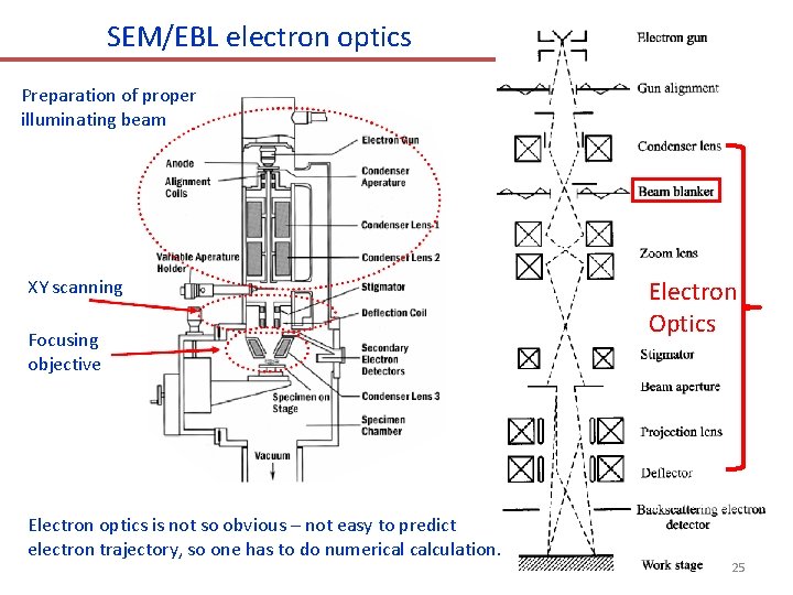 SEM/EBL electron optics Preparation of proper illuminating beam XY scanning Focusing objective Electron optics