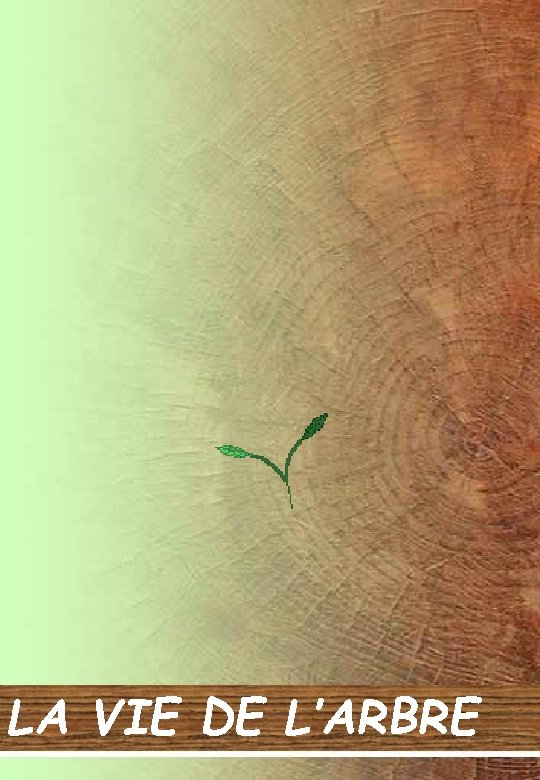 LA VIE DE L’ARBRE 