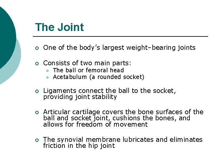 The Joint ¡ One of the body’s largest weight–bearing joints ¡ Consists of two