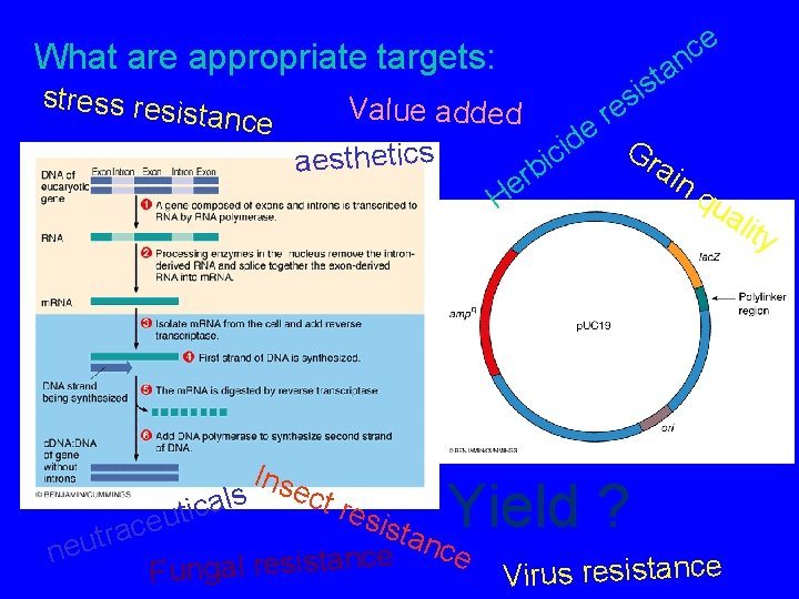 What are appropriate targets: stress res istance e c n a t s si