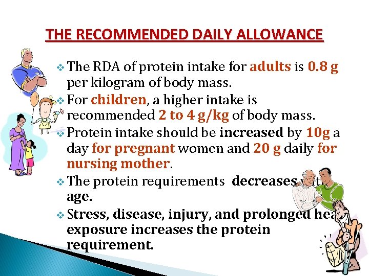 THE RECOMMENDED DAILY ALLOWANCE v The RDA of protein intake for adults is 0.