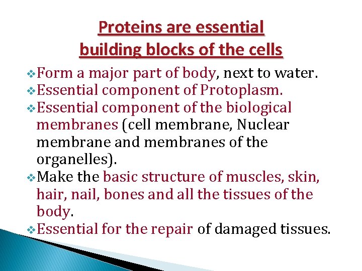 Proteins are essential building blocks of the cells v. Form a major part of