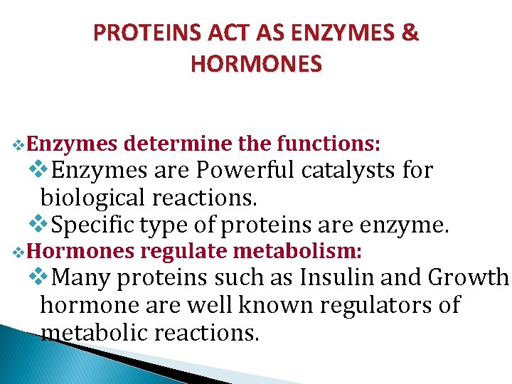 PROTEINS ACT AS ENZYMES & HORMONES v. Enzymes determine the functions: v. Enzymes are