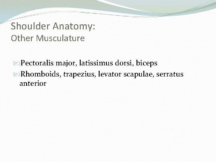 Shoulder Anatomy: Other Musculature Pectoralis major, latissimus dorsi, biceps Rhomboids, trapezius, levator scapulae, serratus