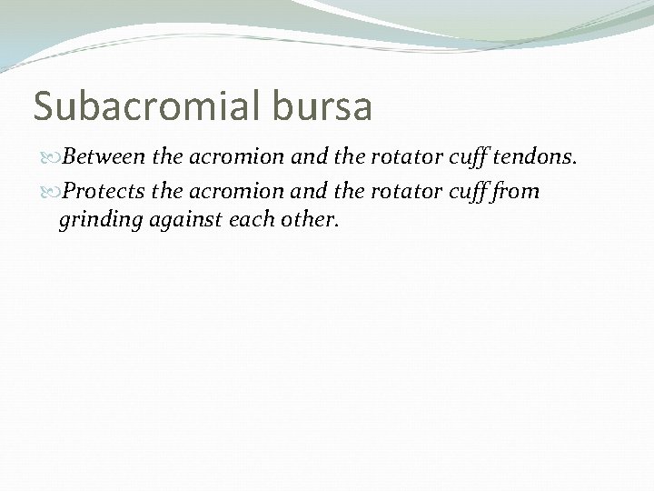 Subacromial bursa Between the acromion and the rotator cuff tendons. Protects the acromion and
