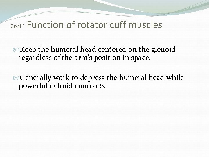 Cont” Function of rotator cuff muscles Keep the humeral head centered on the glenoid