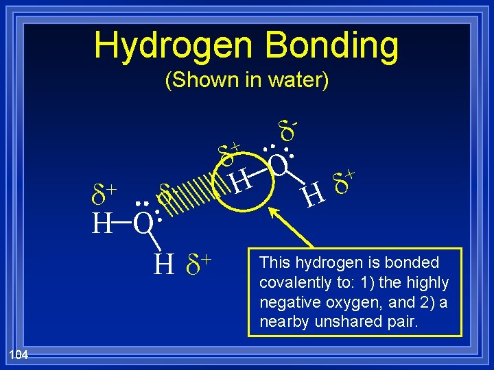 Hydrogen Bonding (Shown in water) - + d+ d. H O + Hd 104