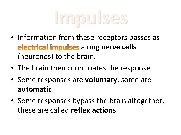 Impulses • Information from these receptors passes as along nerve cells (neurones) to the