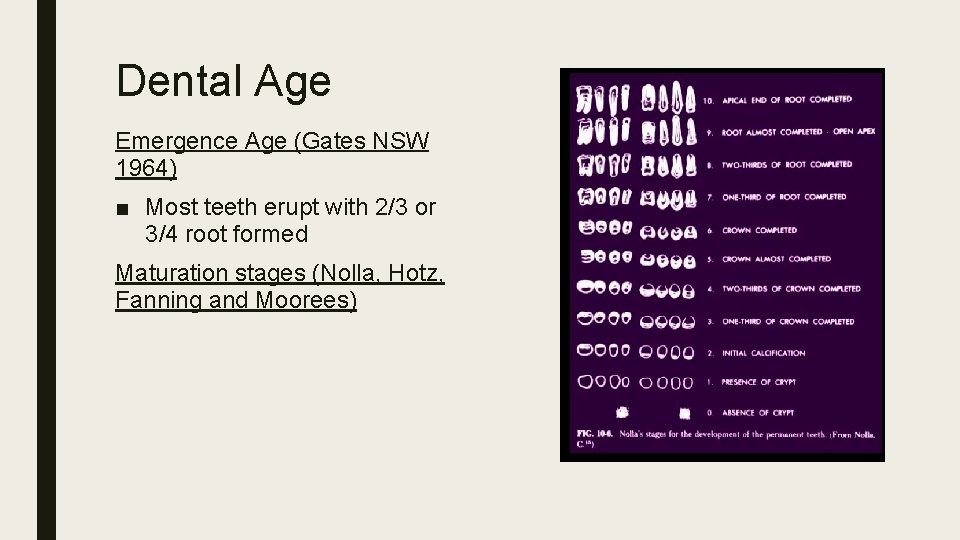 Dental Age Emergence Age (Gates NSW 1964) ■ Most teeth erupt with 2/3 or