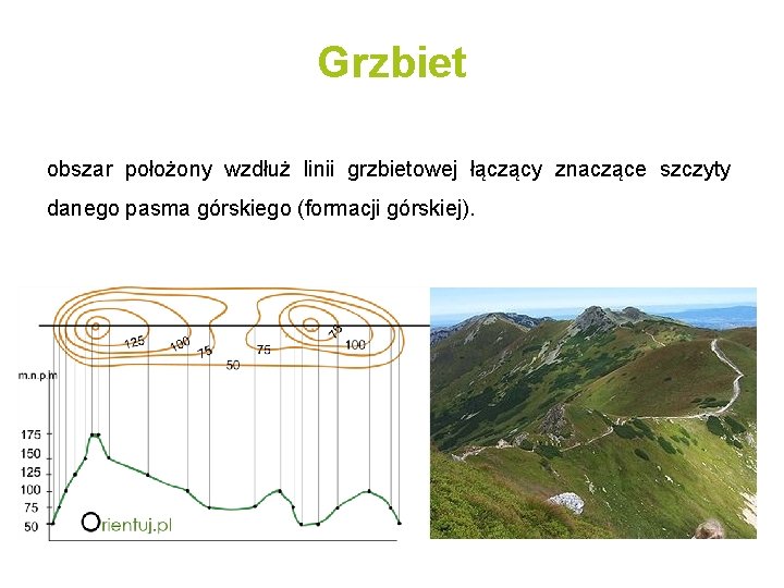 Grzbiet obszar położony wzdłuż linii grzbietowej łączący znaczące szczyty danego pasma górskiego (formacji górskiej).