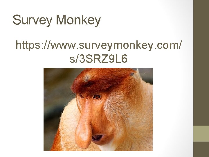 Survey Monkey https: //www. surveymonkey. com/ s/3 SRZ 9 L 6 