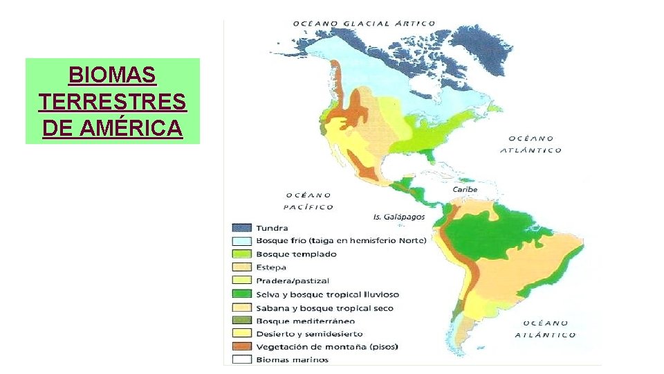 BIOMAS TERRESTRES DE AMÉRICA 