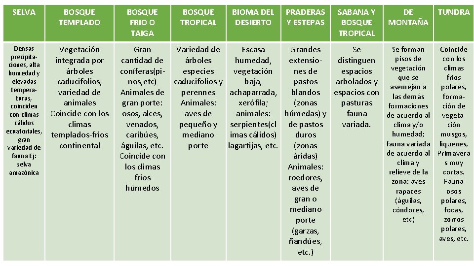 SELVA BOSQUE TEMPLADO Densas precipitaciones, alta humedad y elevadas temperaturas, coinciden con climas cálidos