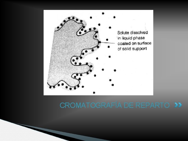 CROMATOGRAFÍA DE REPARTO 