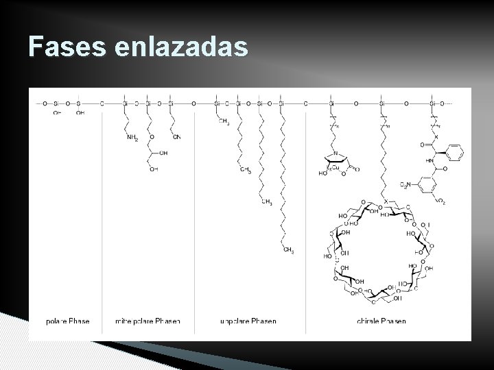 Fases enlazadas 