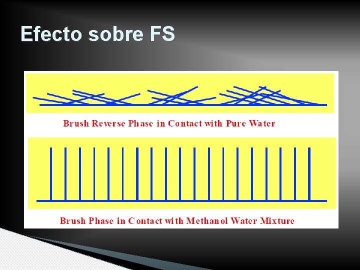 Efecto sobre FS 