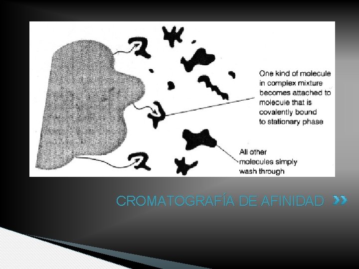 CROMATOGRAFÍA DE AFINIDAD 