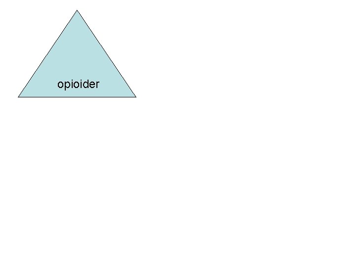 opioider 