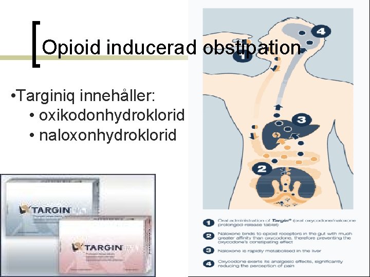 Opioid inducerad obstipation • Targiniq innehåller: • oxikodonhydroklorid • naloxonhydroklorid 