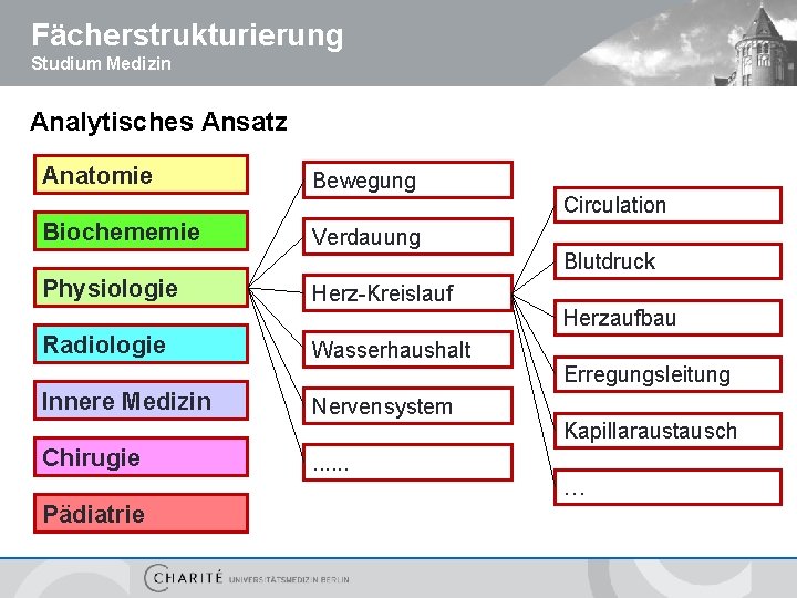 Fächerstrukturierung Studium Medizin Analytisches Ansatz Anatomie Bewegung Circulation Biochememie Verdauung Blutdruck Physiologie Herz-Kreislauf Herzaufbau