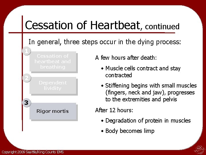 Cessation of Heartbeat, continued In general, three steps occur in the dying process: 1