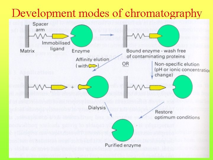 Development modes of chromatography 