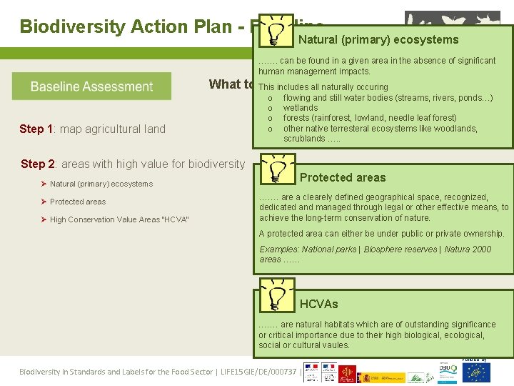 Biodiversity Action Plan - Baseline Natural (primary) ecosystems ……. can be found in a