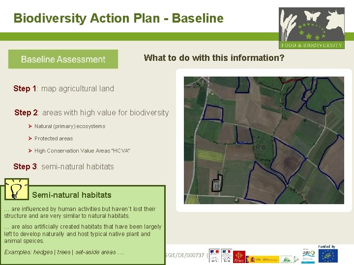 Biodiversity Action Plan - Baseline What to do with this information? Step 1: map