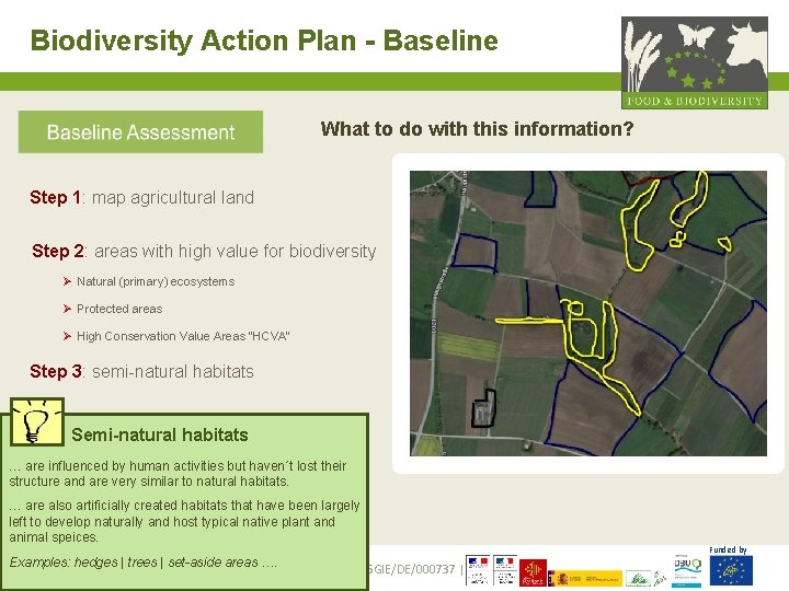 Biodiversity Action Plan - Baseline What to do with this information? Step 1: map