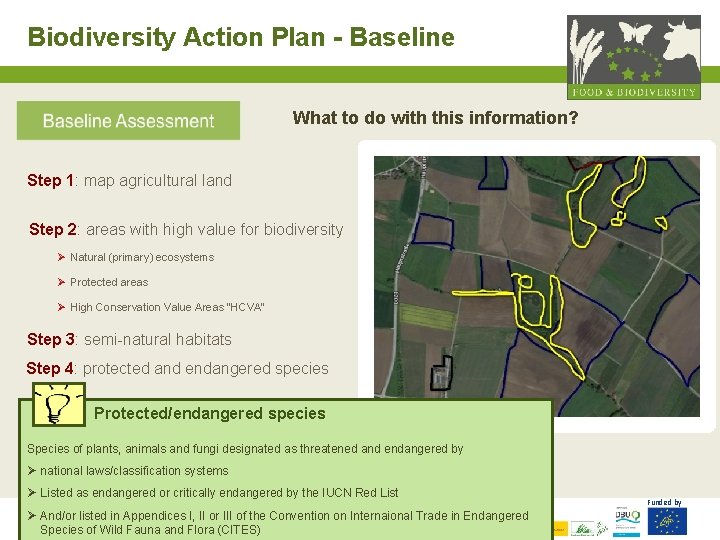 Biodiversity Action Plan - Baseline What to do with this information? Step 1: map