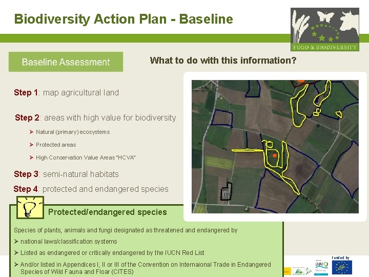 Biodiversity Action Plan - Baseline What to do with this information? Step 1: map