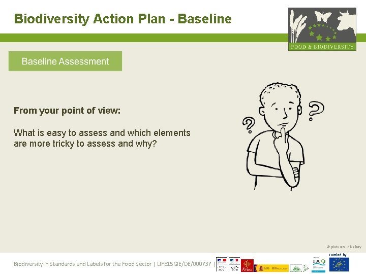 Biodiversity Action Plan - Baseline From your point of view: What is easy to