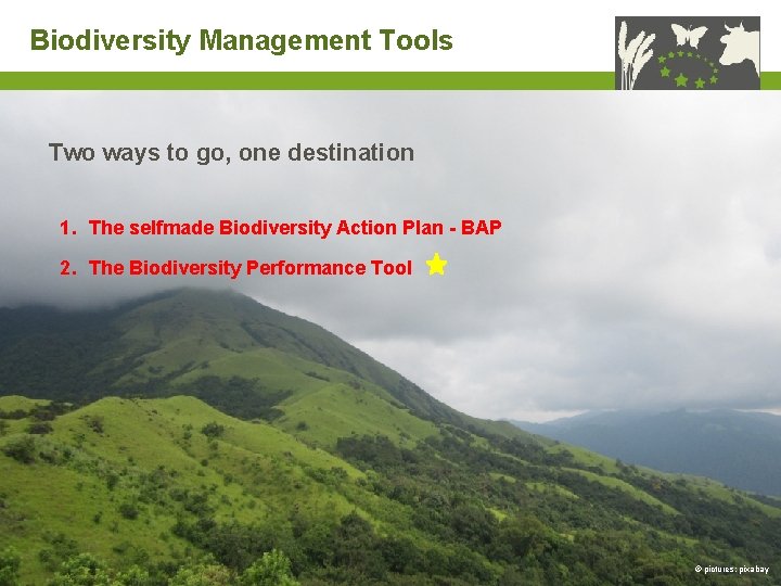 Biodiversity Management Tools Two ways to go, one destination 1. The selfmade Biodiversity Action
